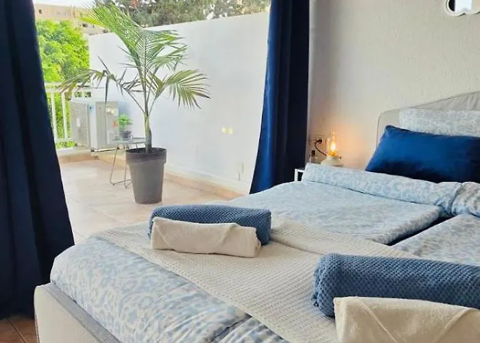 Americas Monkey * Плая-де-лас-Америкас