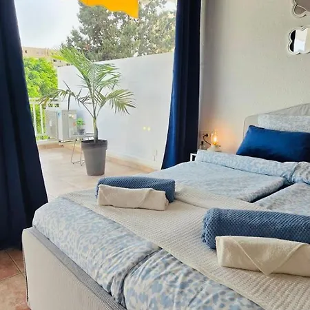 Americas Monkey * 플라야데라스아메리카스