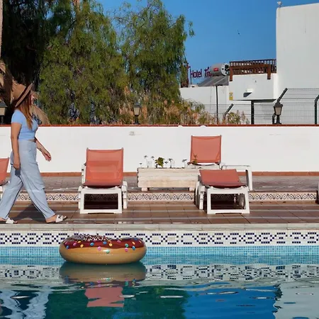 아파트 Americas Monkey