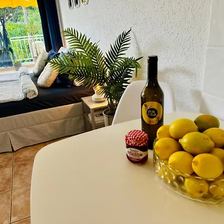 Americas Monkey * 플라야데라스아메리카스