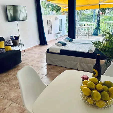 Americas Monkey 아파트