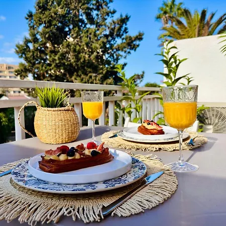 Americas Monkey * 플라야데라스아메리카스