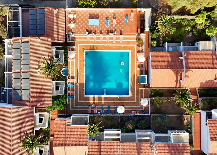 Americas Monkey Apartman